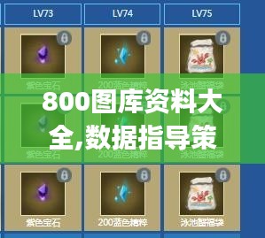 800圖庫資料大全,數(shù)據(jù)指導策略規(guī)劃_WPO3.79
