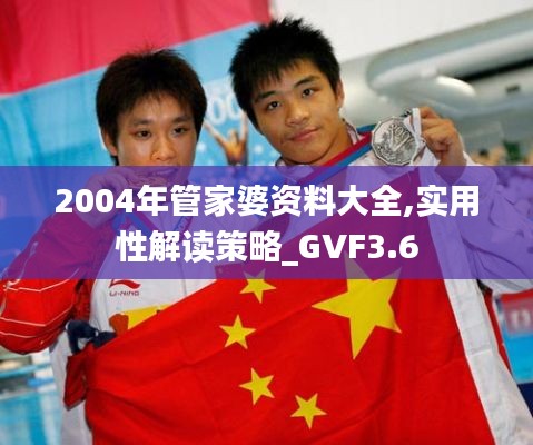 2004年管家婆資料大全,實(shí)用性解讀策略_GVF3.6