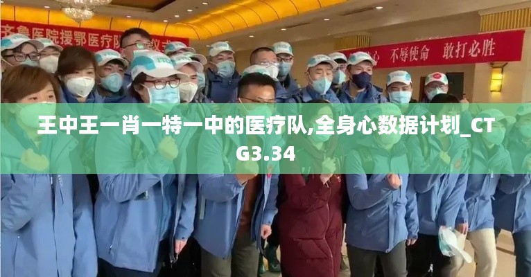 王中王一肖一特一中的醫(yī)療隊,全身心數(shù)據(jù)計劃_CTG3.34