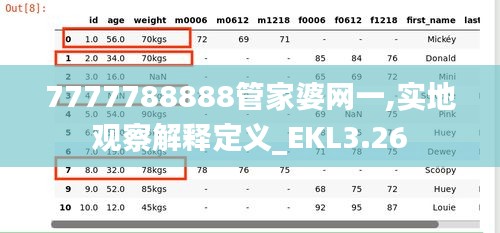 7777788888管家婆網(wǎng)一,實(shí)地觀察解釋定義_EKL3.26