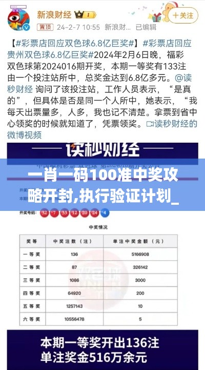 一肖一碼100準(zhǔn)中獎攻略開封,執(zhí)行驗證計劃_SDB3.62