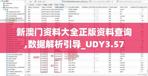 新澳門資料大全正版資料查詢,數(shù)據(jù)解析引導(dǎo)_UDY3.57