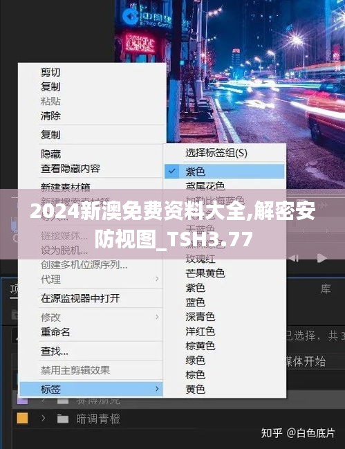 2024新澳免費(fèi)資料大全,解密安防視圖_TSH3.77