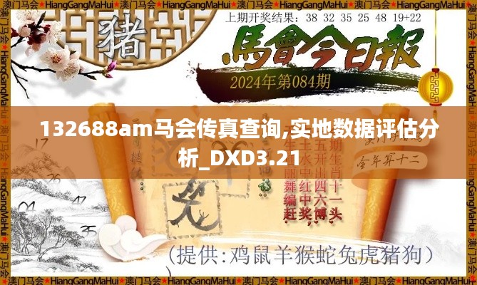 132688am馬會傳真查詢,實地數(shù)據(jù)評估分析_DXD3.21