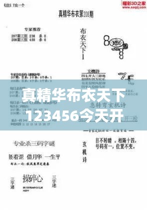 真精華布衣天下123456今天開獎(jiǎng)號(hào),全面實(shí)施策略設(shè)計(jì)_HQI3.55