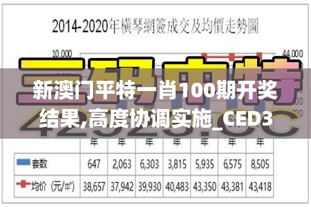 新澳門平特一肖100期開獎結(jié)果,高度協(xié)調(diào)實施_CED3.29