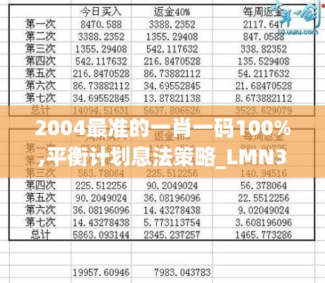 2004最準(zhǔn)的一肖一碼100%,平衡計劃息法策略_LMN3.84