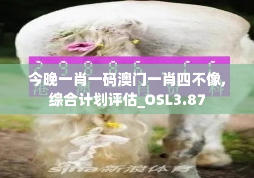 今晚一肖一碼澳門一肖四不像,綜合計(jì)劃評(píng)估_OSL3.87