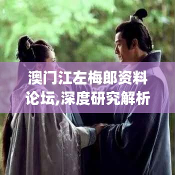 澳門江左梅郎資料論壇,深度研究解析_TCN3.16