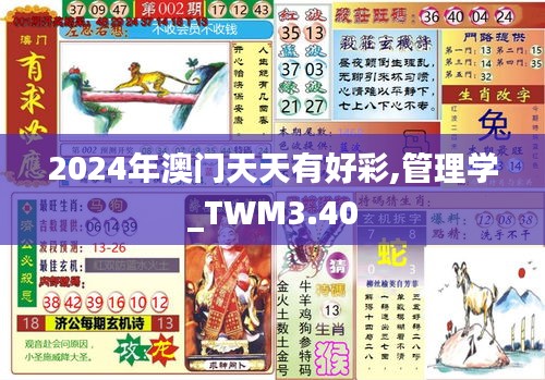 2024年澳門天天有好彩,管理學(xué)_TWM3.40