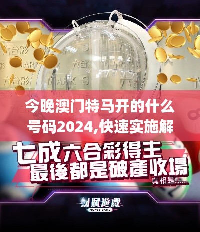 今晚澳門特馬開(kāi)的什么號(hào)碼2024,快速實(shí)施解答研究_GLM3.69