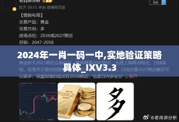 2024年一肖一碼一中,實地驗證策略具體_IXV3.3