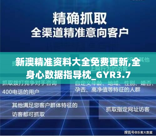 新澳精準(zhǔn)資料大全免費(fèi)更新,全身心數(shù)據(jù)指導(dǎo)枕_GYR3.7
