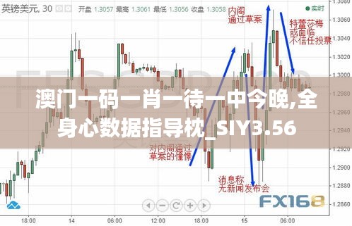 澳門一碼一肖一待一中今晚,全身心數(shù)據(jù)指導(dǎo)枕_SIY3.56