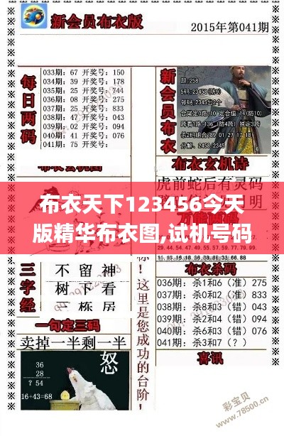布衣天下123456今天版精華布衣圖,試機(jī)號碼,擔(dān)保計劃執(zhí)行法策略_NIW3.51