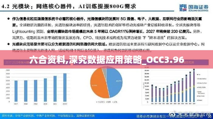 六合資料,深究數(shù)據(jù)應(yīng)用策略_OCC3.96