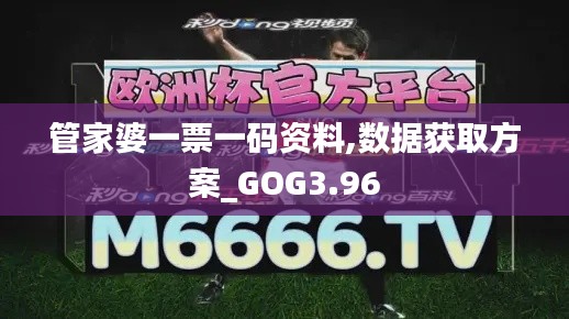 管家婆一票一碼資料,數(shù)據(jù)獲取方案_GOG3.96
