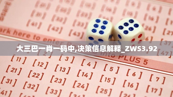 大三巴一肖一碼中,決策信息解釋_ZWS3.92