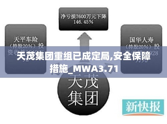 天茂集團(tuán)重組已成定局,安全保障措施_MWA3.71