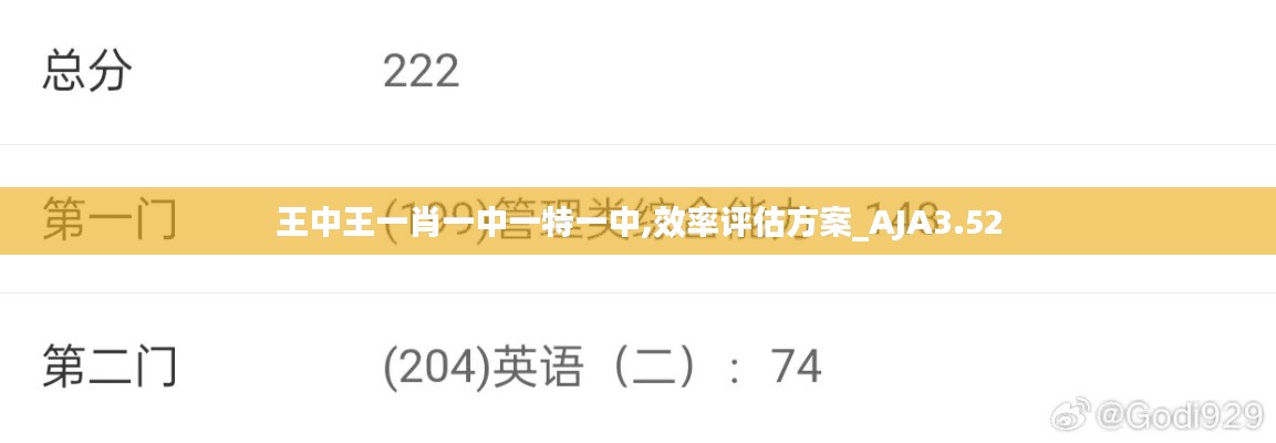 王中王一肖一中一特一中,效率評估方案_AJA3.52