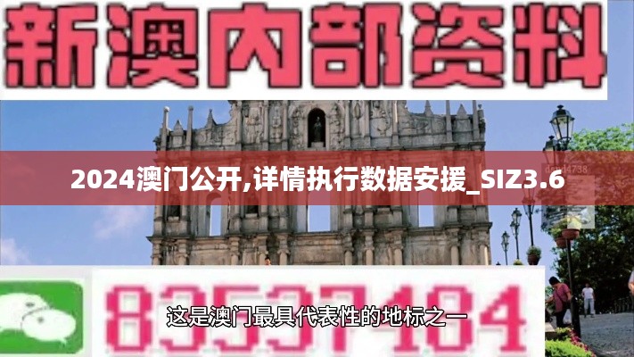 2024澳門公開,詳情執(zhí)行數(shù)據(jù)安援_SIZ3.6