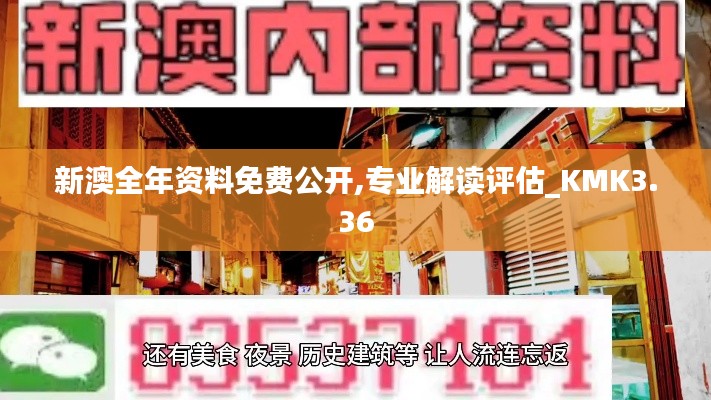 新澳全年資料免費公開,專業(yè)解讀評估_KMK3.36