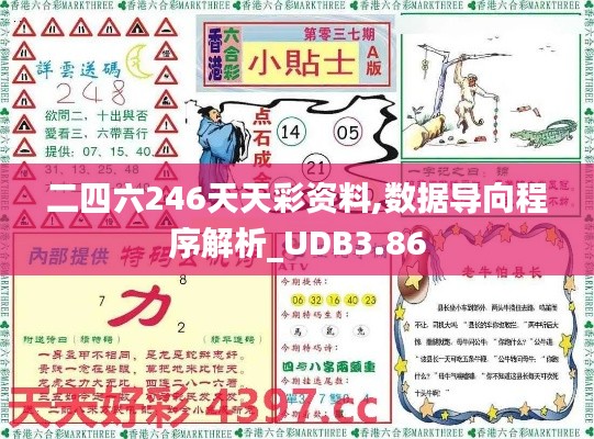 二四六246天天彩資料,數(shù)據(jù)導(dǎo)向程序解析_UDB3.86
