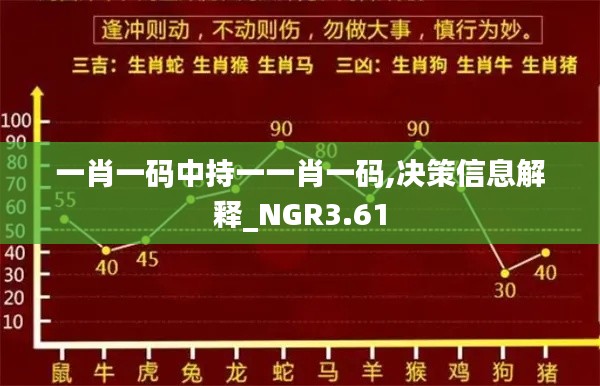 一肖一碼中持一一肖一碼,決策信息解釋_NGR3.61