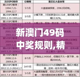 新澳門49碼中獎規(guī)則,精準(zhǔn)分析實(shí)踐_EWY3.25