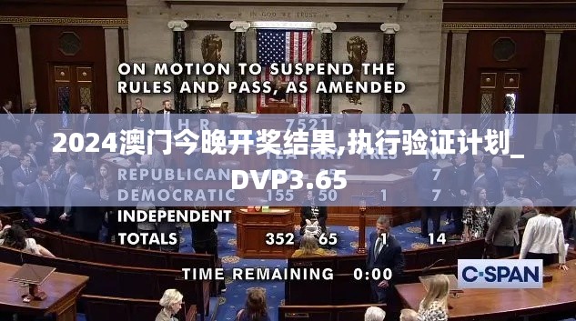 2024澳門今晚開獎結果,執(zhí)行驗證計劃_DVP3.65