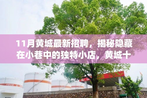 黃城十一月最新招聘探秘，小巷獨特小店的人才招募之旅
