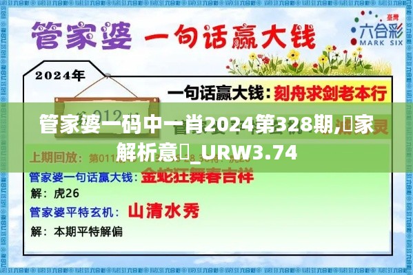 管家婆一碼中一肖2024第328期,專家解析意見_URW3.74