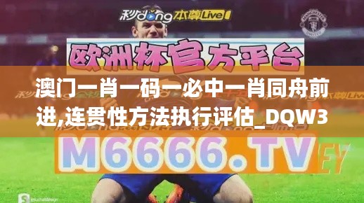 澳門一肖一碼一必中一肖同舟前進,連貫性方法執(zhí)行評估_DQW3.94