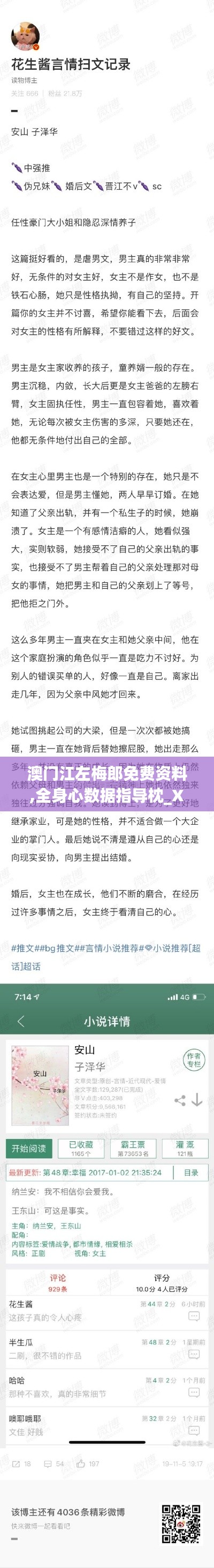 澳門江左梅郎免費資料,全身心數據指導枕_XNX3.14