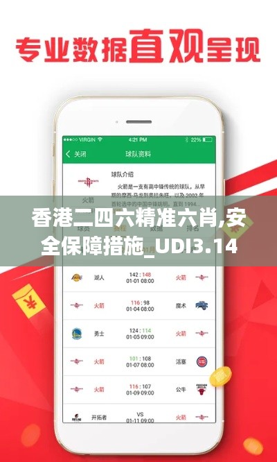 香港二四六精準六肖,安全保障措施_UDI3.14