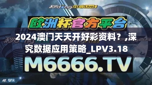 2024澳門天天開好彩資料？,深究數(shù)據(jù)應用策略_LPV3.18