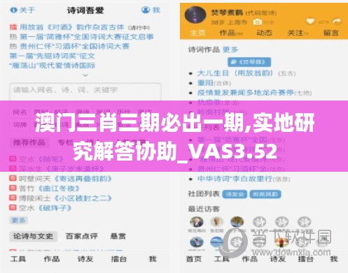 澳門三肖三期必出一期,實(shí)地研究解答協(xié)助_VAS3.52