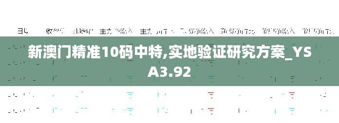 新澳門精準(zhǔn)10碼中特,實(shí)地驗(yàn)證研究方案_YSA3.92