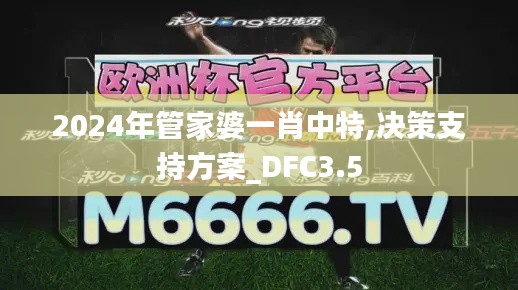 2024年管家婆一肖中特,決策支持方案_DFC3.5