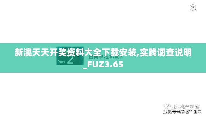 新澳天天開獎(jiǎng)資料大全下載安裝,實(shí)踐調(diào)查說明_FUZ3.65