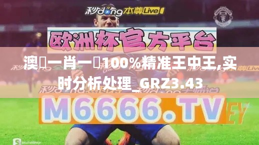 澳門(mén)一肖一碼100%精準(zhǔn)王中王,實(shí)時(shí)分析處理_GRZ3.43