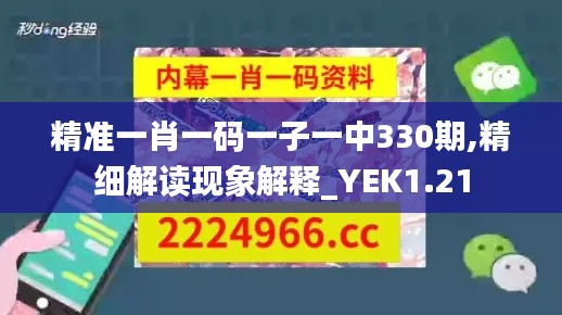 精準一肖一碼一子一中330期,精細解讀現(xiàn)象解釋_YEK1.21