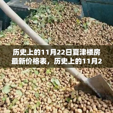 歷史上的11月22日夏津樓房最新價(jià)格深度評(píng)測(cè)與介紹