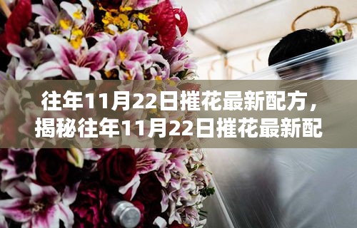 揭秘，往年11月22日最新摧花配方，園藝愛好者的必備指南