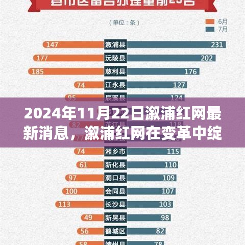 溆浦紅網(wǎng)變革中的最新消息與深度評(píng)測(cè)（2024年11月版）