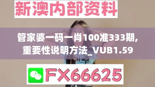 管家婆一碼一肖100準333期,重要性說明方法_VUB1.59