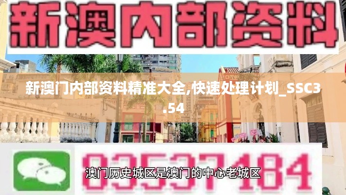 新澳門內部資料精準大全,快速處理計劃_SSC3.54