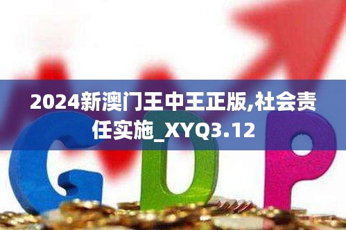 2024新澳門王中王正版,社會責(zé)任實施_XYQ3.12
