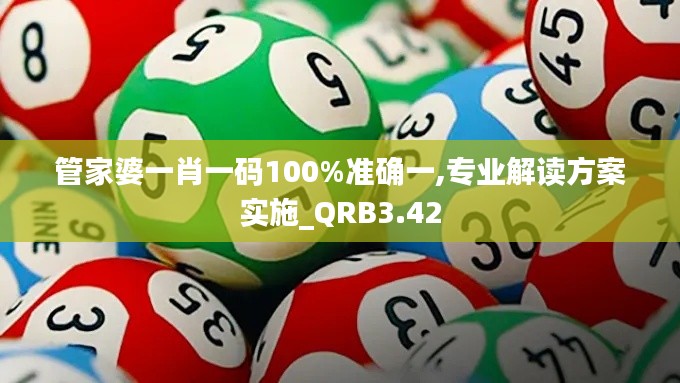 管家婆一肖一碼100%準確一,專業(yè)解讀方案實施_QRB3.42