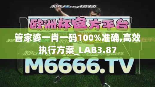 管家婆一肖一碼100%準(zhǔn)確,高效執(zhí)行方案_LAB3.87
